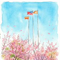 三月櫻吹雪圖片